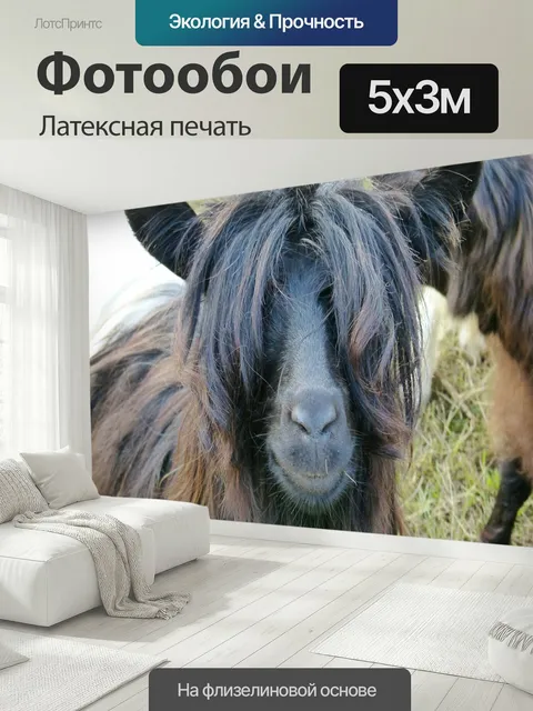 500 × 300 см · Латексная печать
