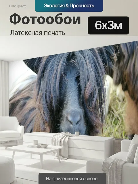 600 × 300 см · Латексная печать