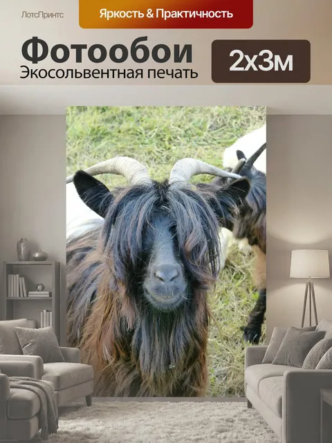 200 × 300 см · Экосольвентная печать
