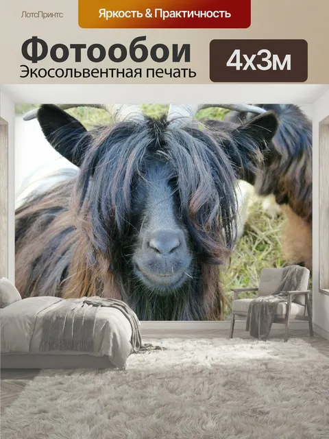 400 × 300 см · Экосольвентная печать