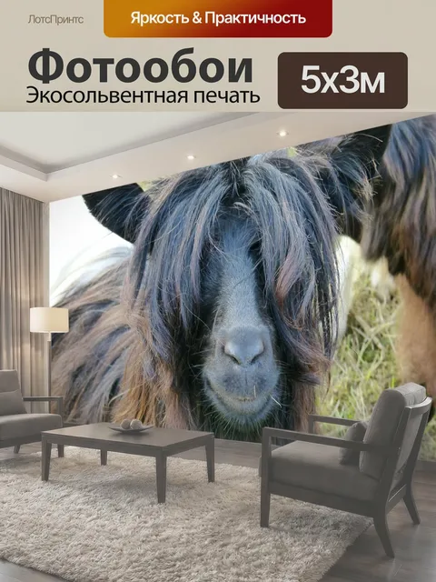 500 × 300 см · Экосольвентная печать