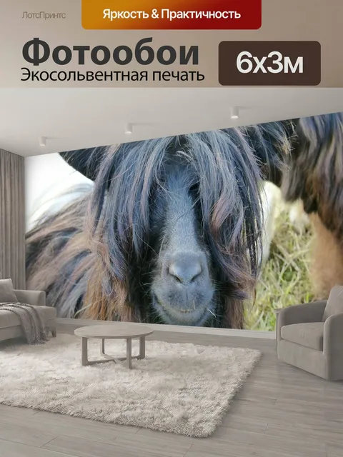 600 × 300 см · Экосольвентная печать
