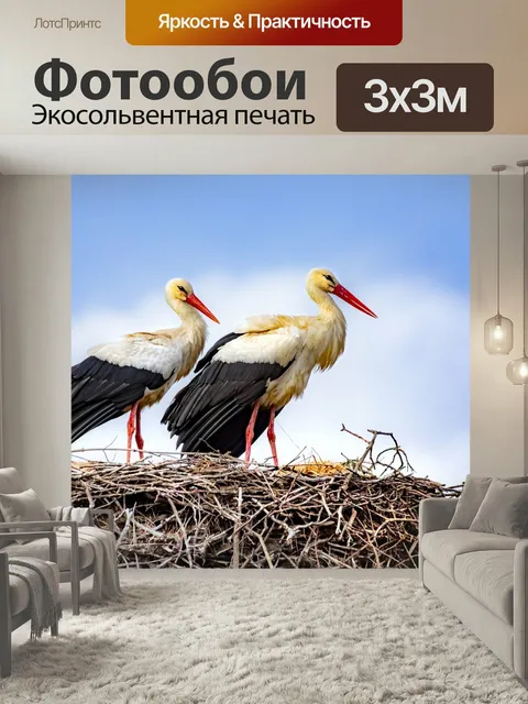 Фотообои Белые аисты, птицы, гнездо