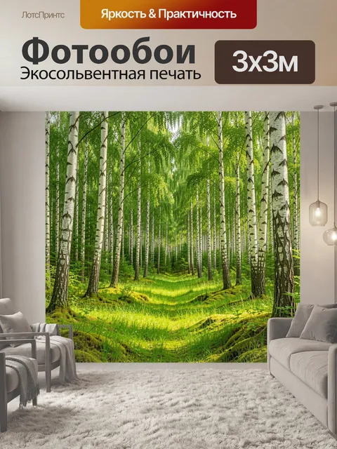 Фотообои Берёзовая роща в зелёном свете. Светлая лесная аллея с высокими белоствольными деревьями, мягким мхом и сочно…