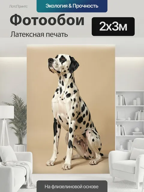 200 × 300 см · Латексная печать