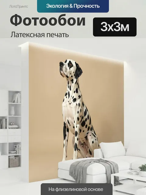 300 × 300 см · Латексная печать