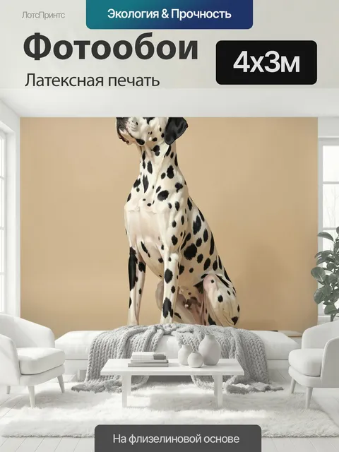 400 × 300 см · Латексная печать