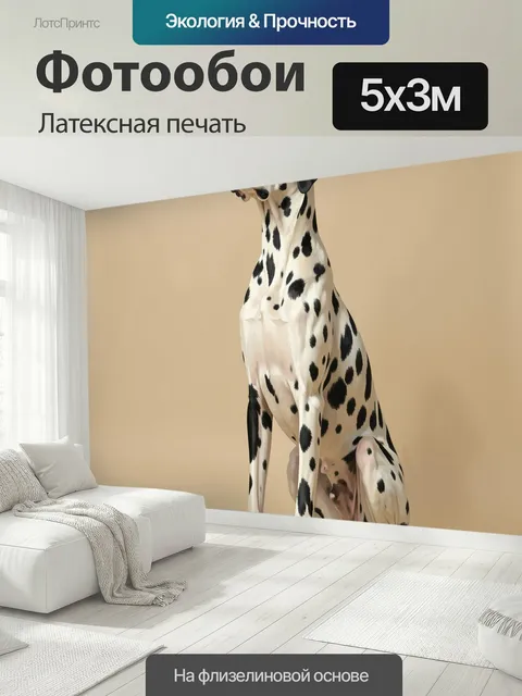 500 × 300 см · Латексная печать