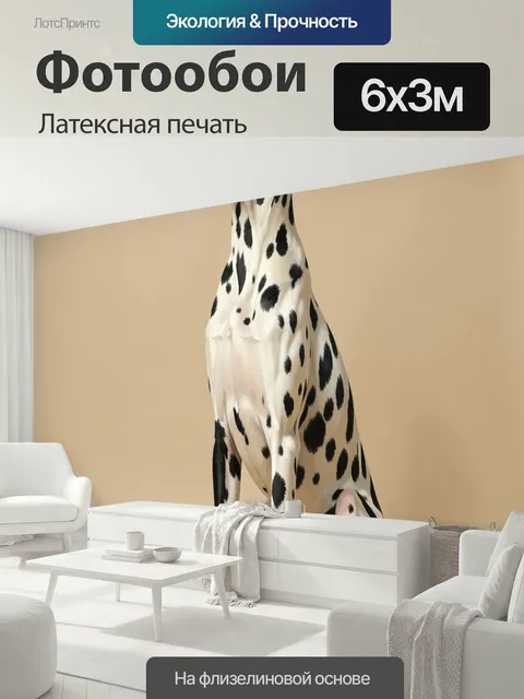 600 × 300 см · Латексная печать