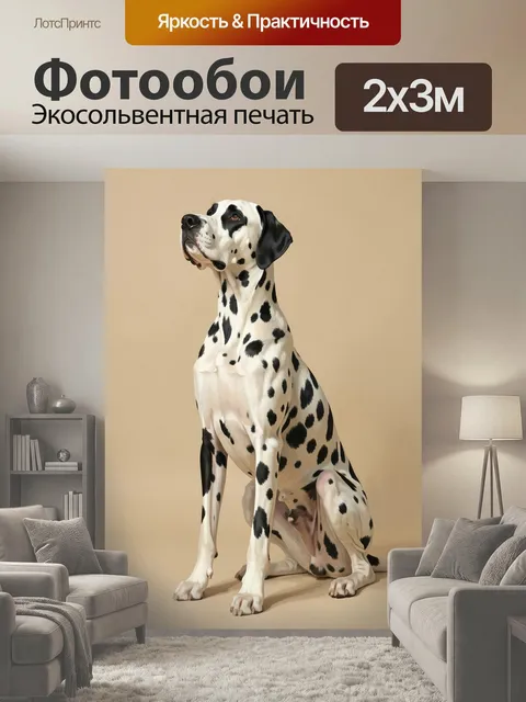 200 × 300 см · Экосольвентная печать