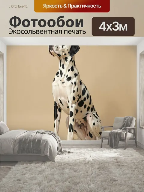 400 × 300 см · Экосольвентная печать