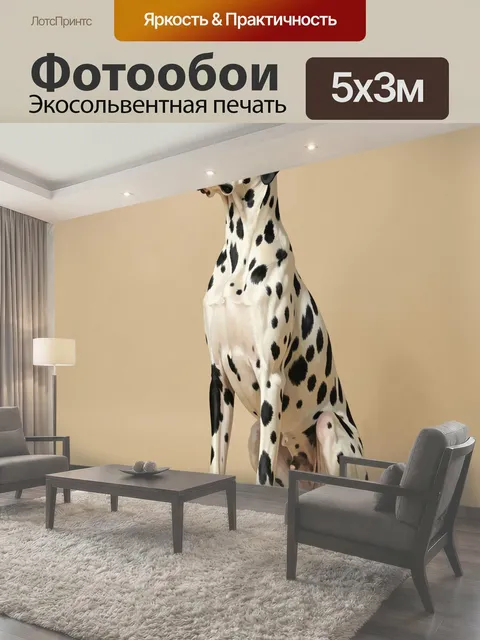 500 × 300 см · Экосольвентная печать