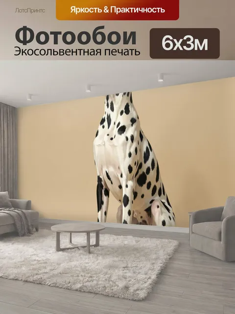 600 × 300 см · Экосольвентная печать