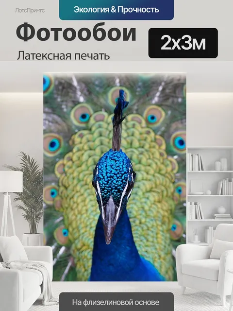 200 × 300 см · Латексная печать