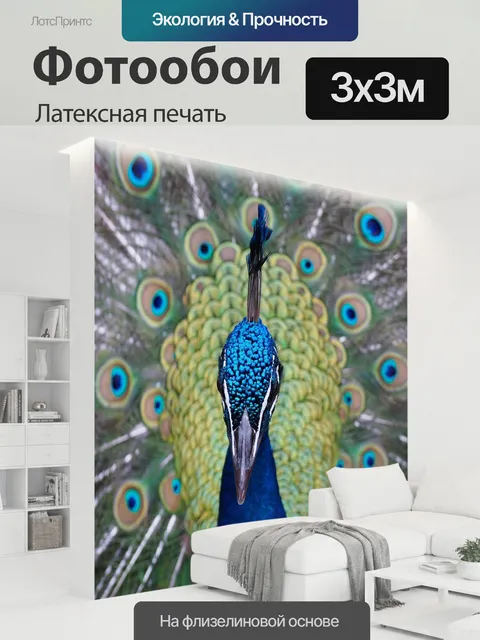300 × 300 см · Латексная печать