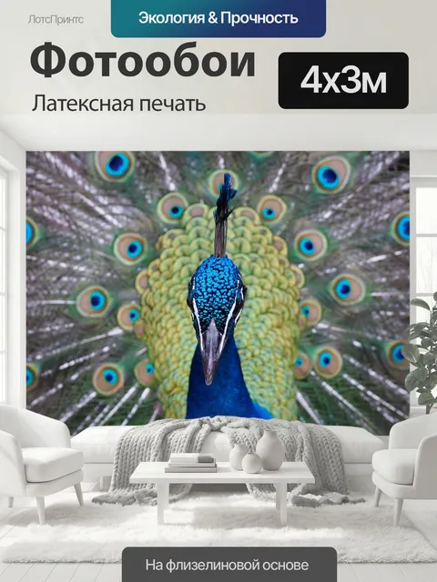 400 × 300 см · Латексная печать