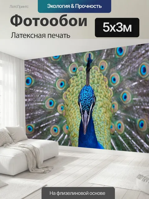500 × 300 см · Латексная печать