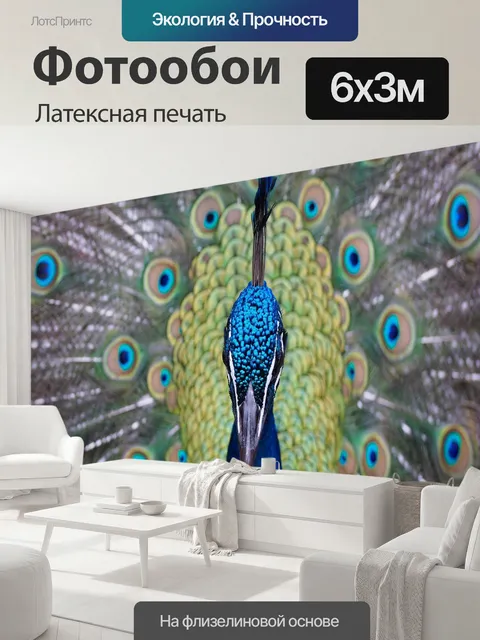 600 × 300 см · Латексная печать