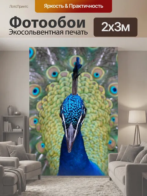 200 × 300 см · Экосольвентная печать