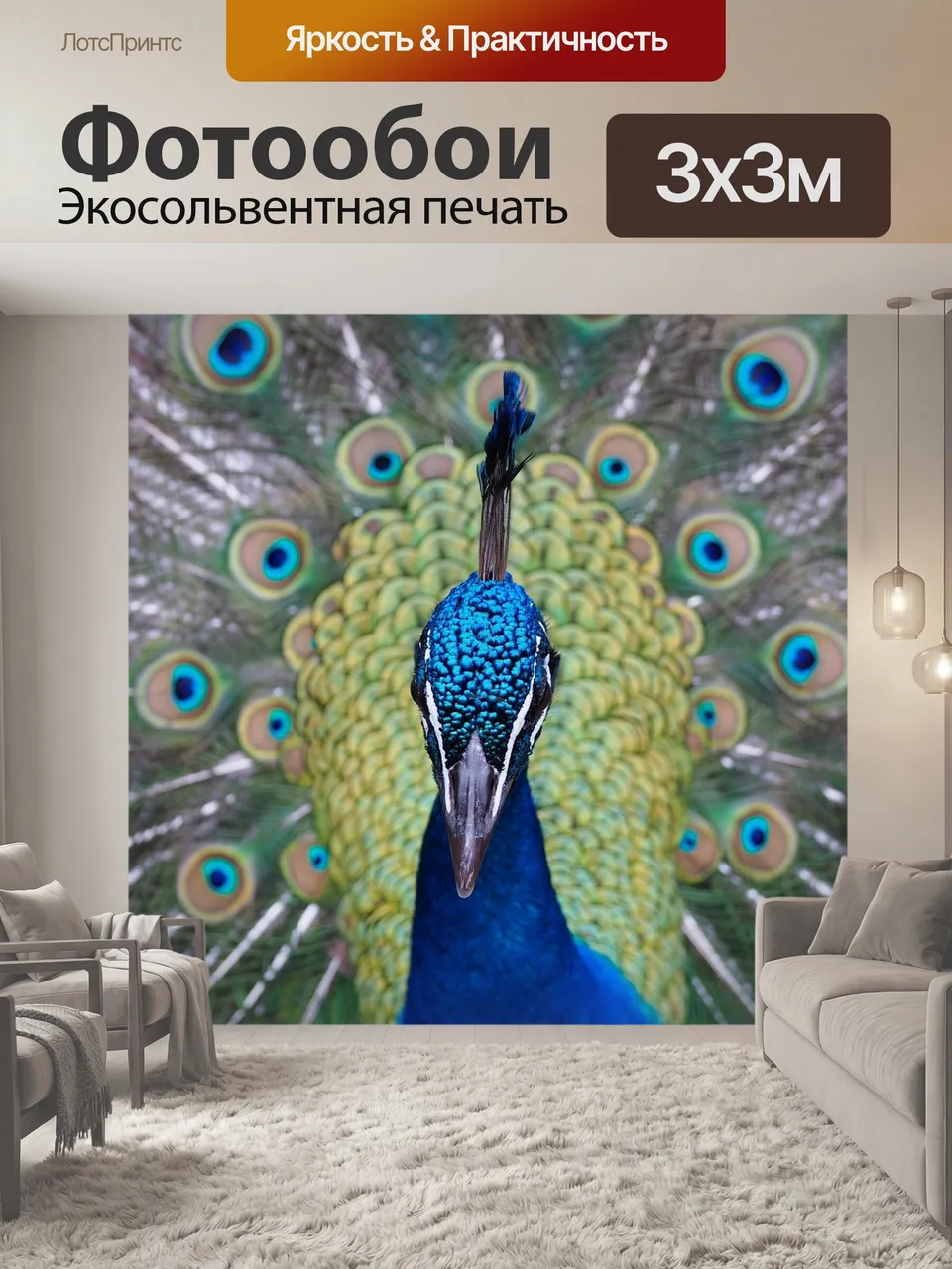 Фотообои Павлин, павлины, птица