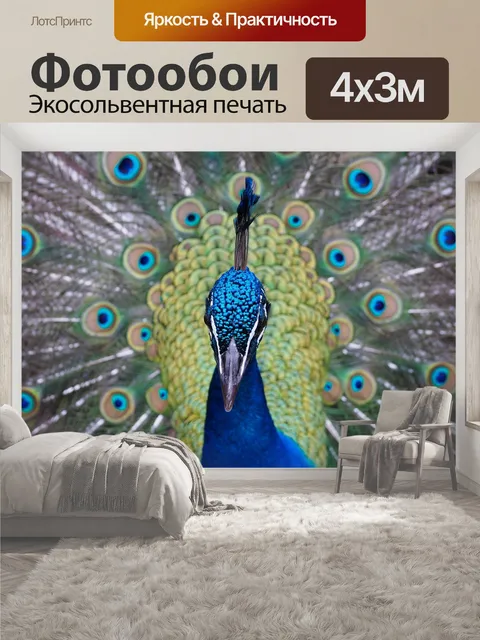 400 × 300 см · Экосольвентная печать