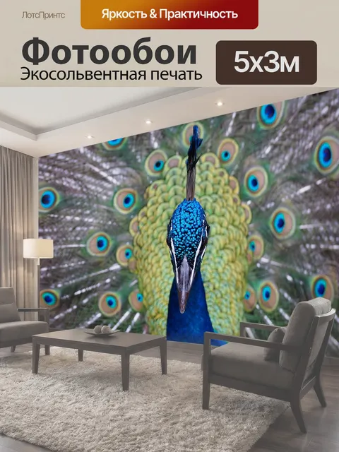 500 × 300 см · Экосольвентная печать