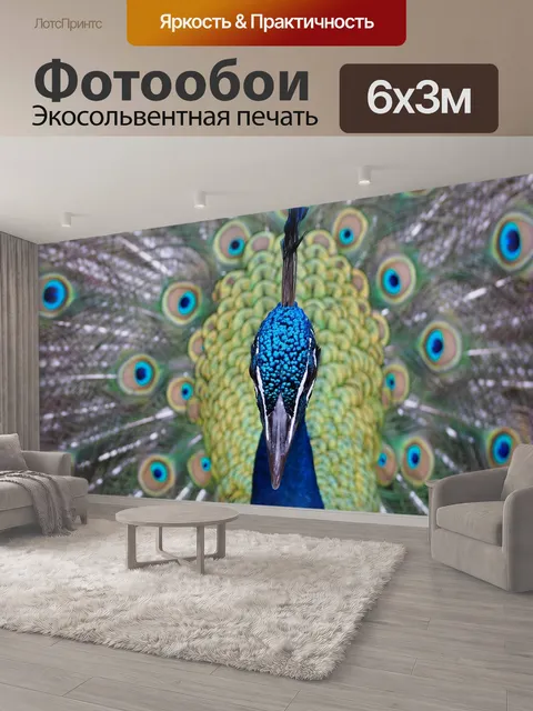 600 × 300 см · Экосольвентная печать