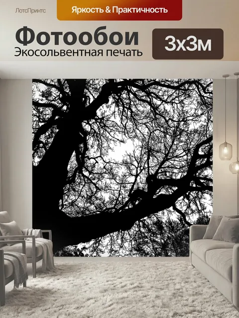 Фотообои Лес, деревья, силуэт