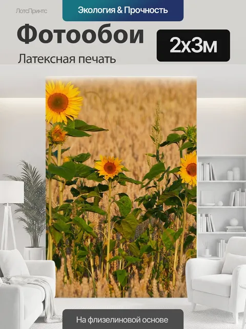 200 × 300 см · Латексная печать