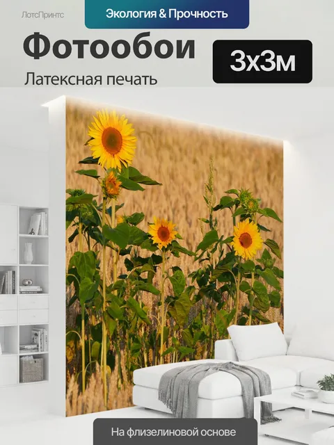 300 × 300 см · Латексная печать