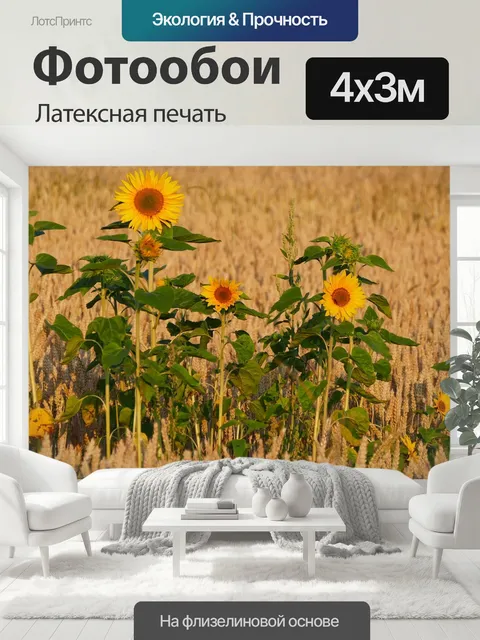 400 × 300 см · Латексная печать