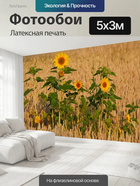 500 × 300 см · Латексная печать