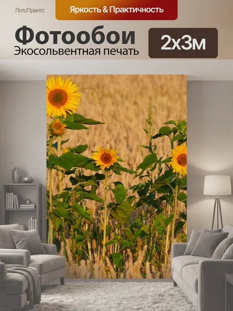 200 × 300 см · Экосольвентная печать