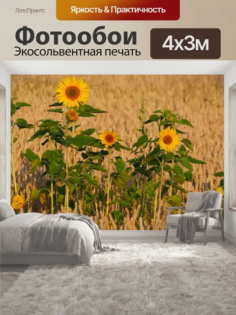 400 × 300 см · Экосольвентная печать