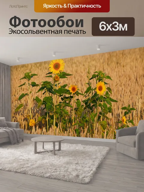 600 × 300 см · Экосольвентная печать