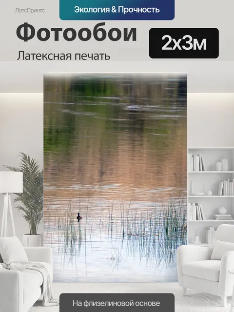 200 × 300 см · Латексная печать