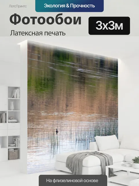 300 × 300 см · Латексная печать