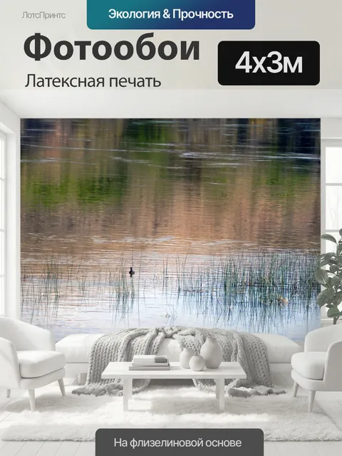 400 × 300 см · Латексная печать
