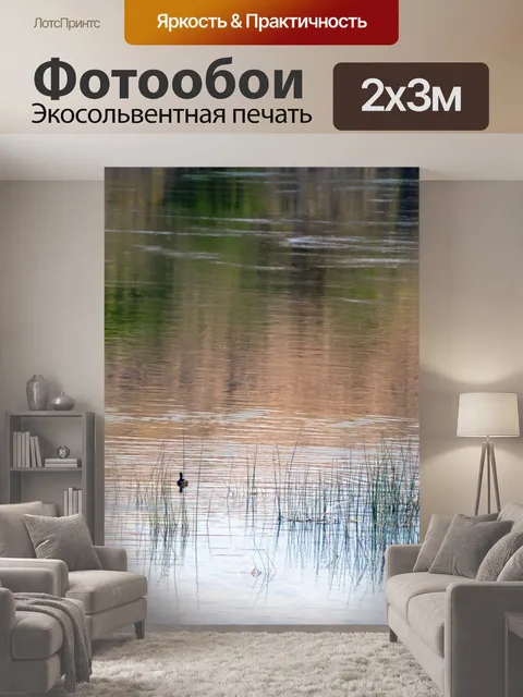 200 × 300 см · Экосольвентная печать