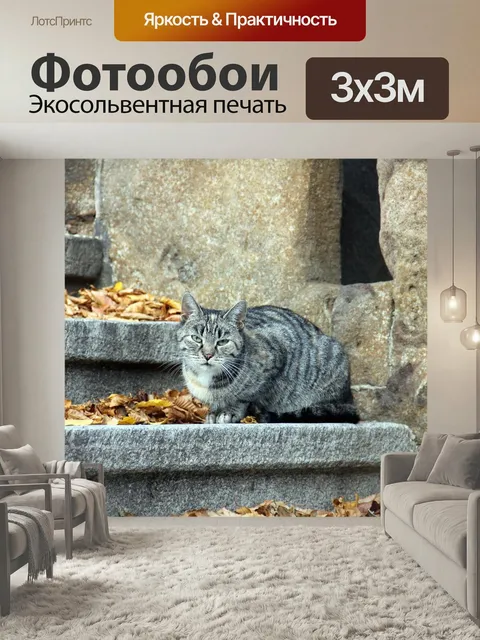 Фотообои Лестница, стена, животное