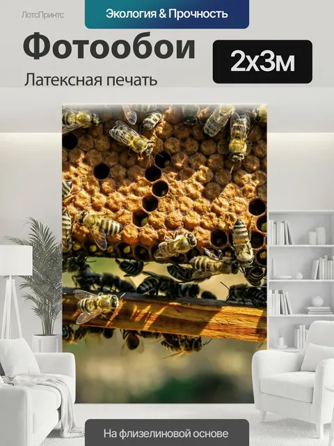 200 × 300 см · Латексная печать