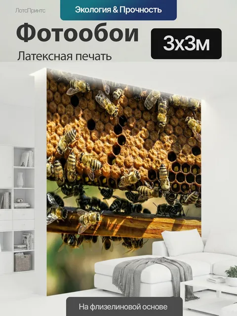 300 × 300 см · Латексная печать