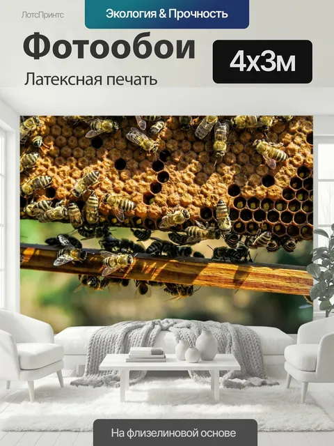 400 × 300 см · Латексная печать