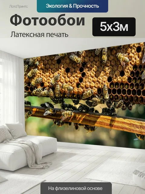 500 × 300 см · Латексная печать