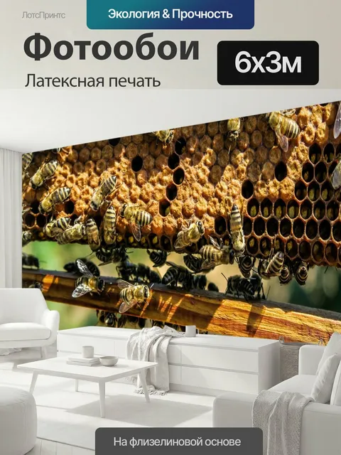 600 × 300 см · Латексная печать