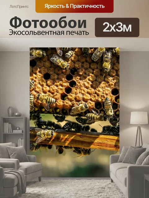 200 × 300 см · Экосольвентная печать