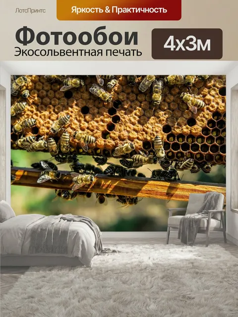 400 × 300 см · Экосольвентная печать