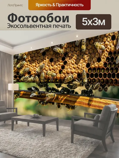 500 × 300 см · Экосольвентная печать
