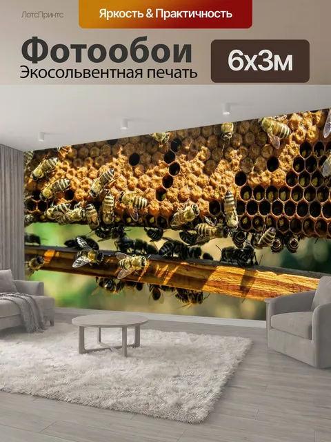 600 × 300 см · Экосольвентная печать