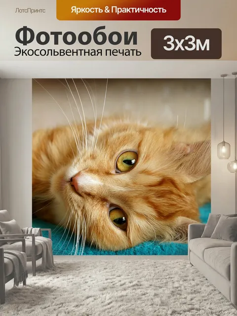 Фотообои Веснушка, кошка, рыжая